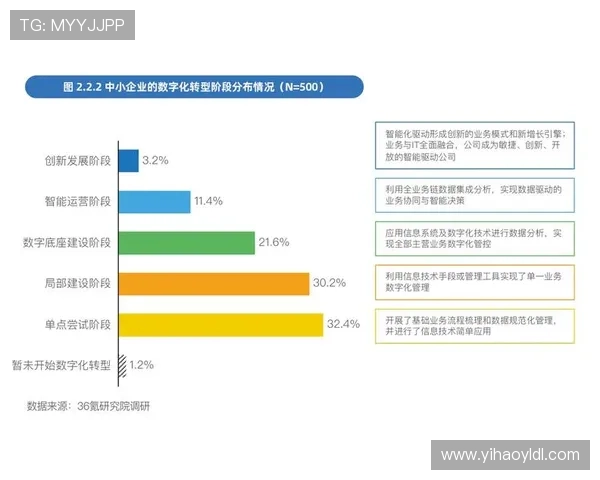 壹号网络科技：助力中小企业数字化转型的实用解决方案与成功案例分析