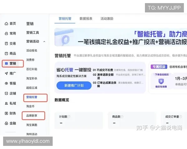 壹号链接平台：全面提升网站流量与转化率的专业解决方案